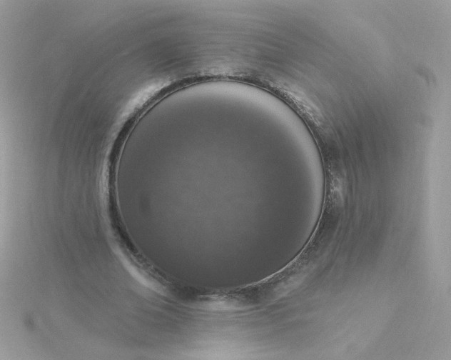 X0000115710678200911251857