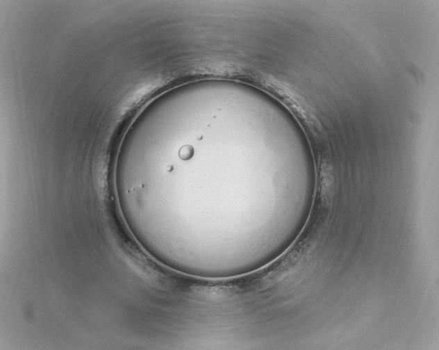 X0000115710679200911251857