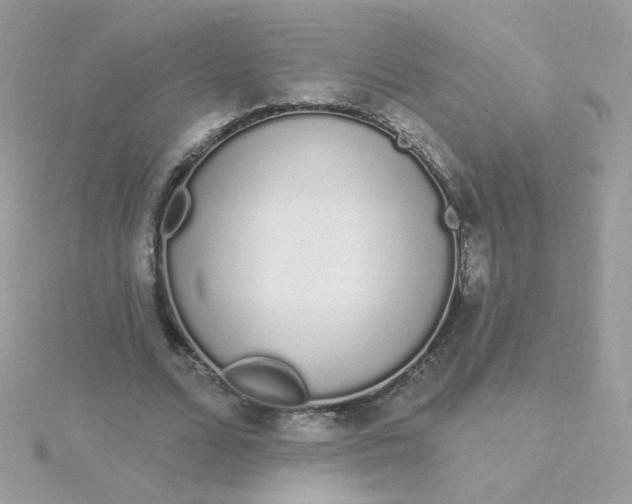 X0000115710680200911251857