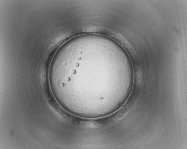 X0000115710683200911251857