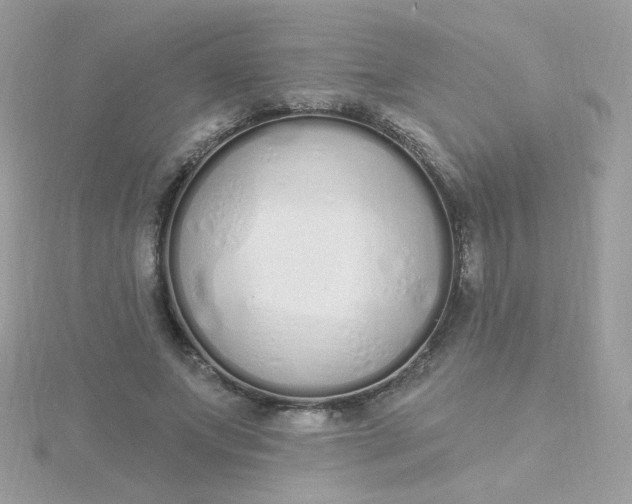 X0000115710687200911251857