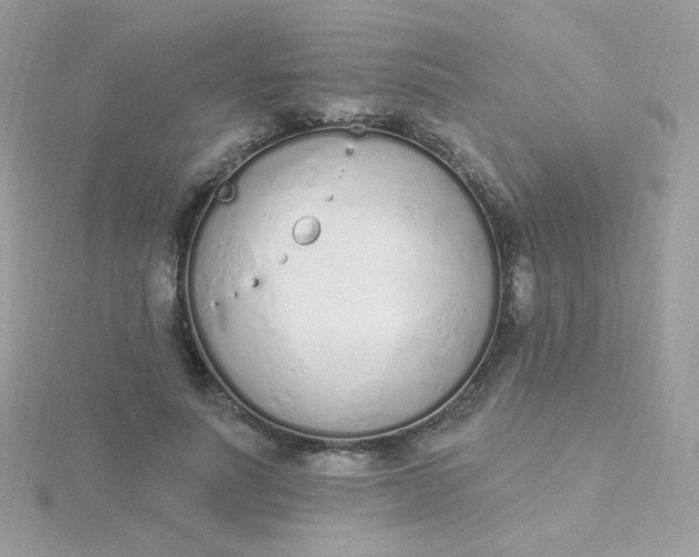 X0000115710691200911251857