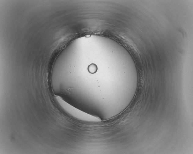 X0000115710693200911251857