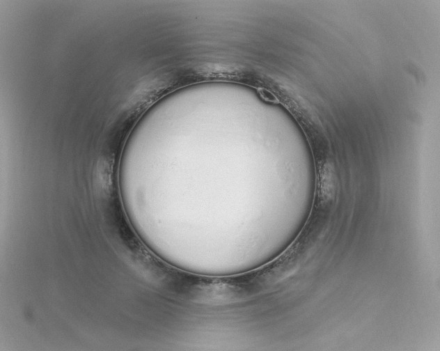 X0000115710695200911251857