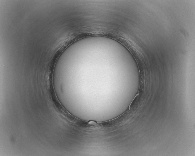 X0000115710696200911251856