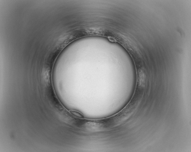 X0000115710699200911251856