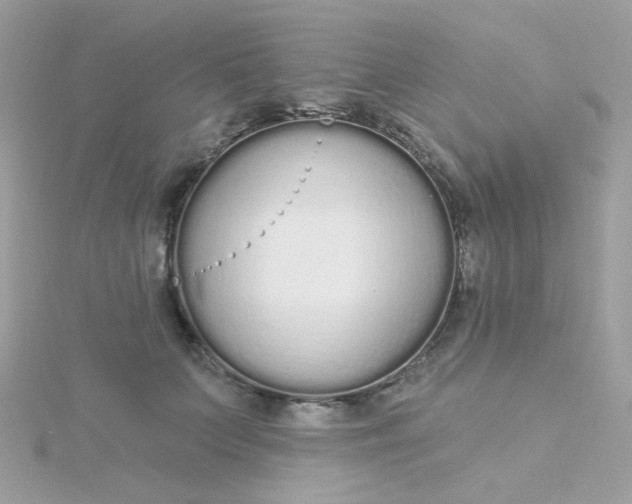 X0000115710703200911251856