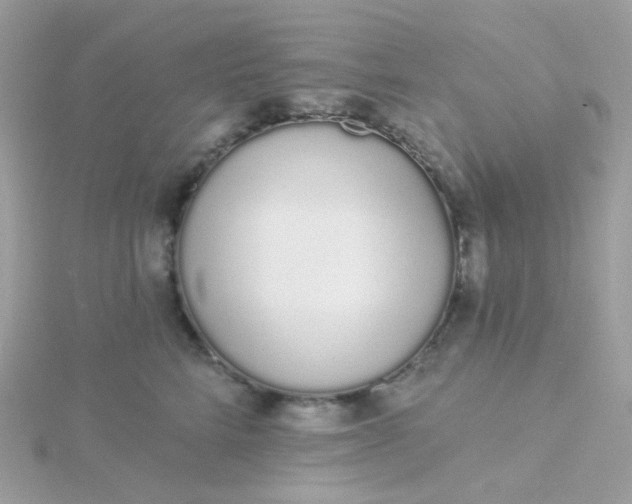 X0000115710712200911251856