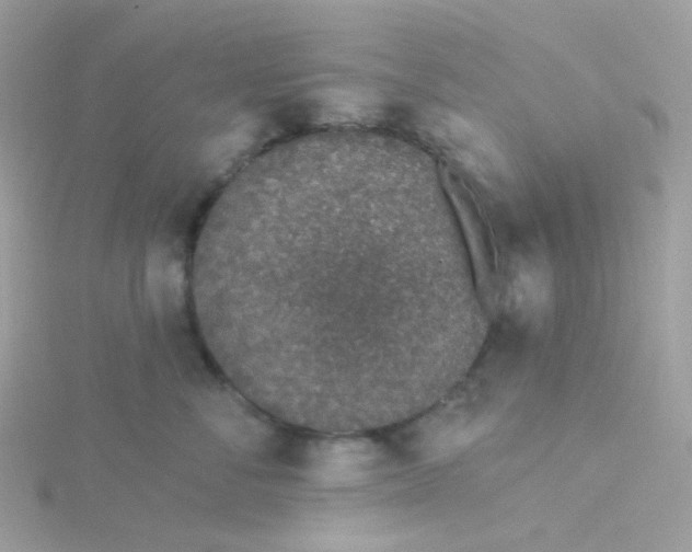 X0000115710716200911251856