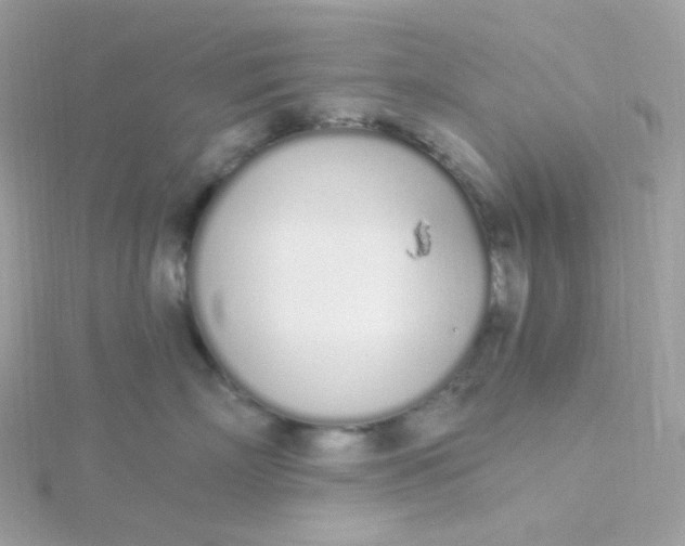 X0000115710718200911251856