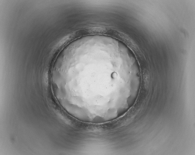 X0000115710729200911251856