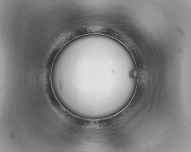 X0000115710738200911251856