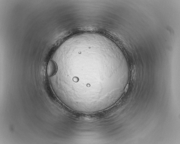 X0000115710739200911251856