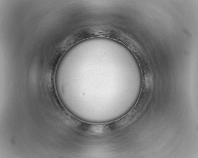 X0000115710757200911251856