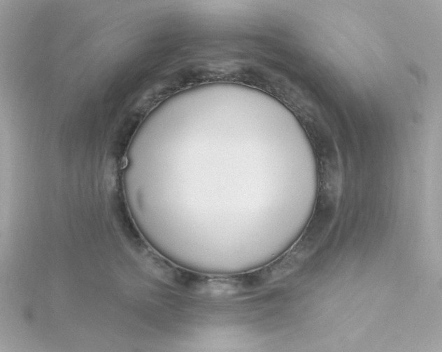 X0000115710758200911251856