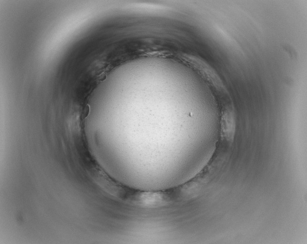 X0000115710762200911251856