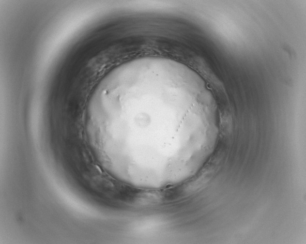 X0000115710765200911251856