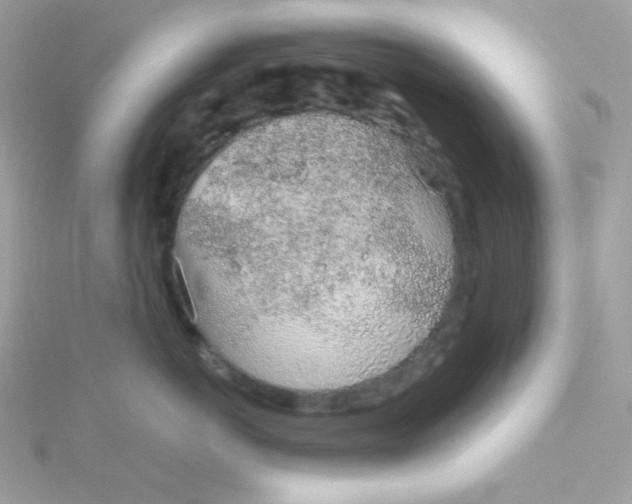 X0000115710766200911251856