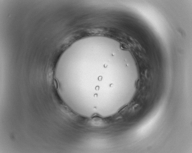 X0000115710767200911251856