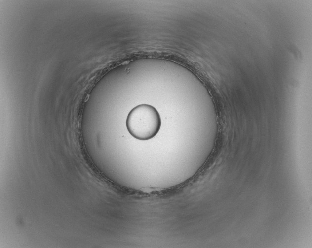 X0000115710769200911251855