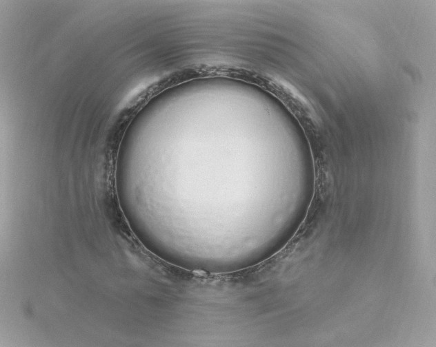 X0000115710775200911251855