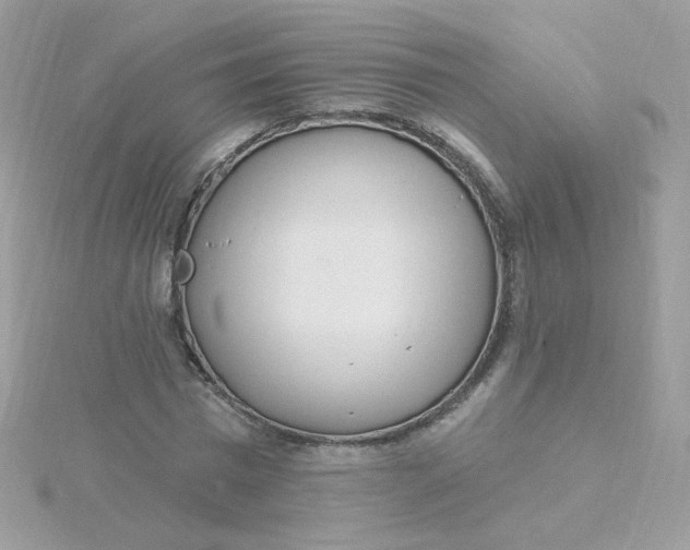 X0000115710777200911251855