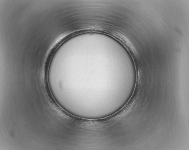 X0000115710780200911251855