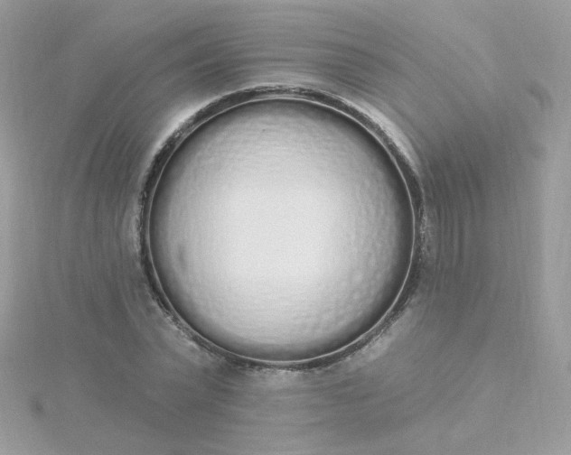 X0000115710783200911251855