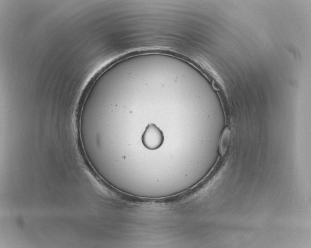 X0000115710789200911251855