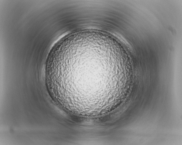 X0000115710790200911251855