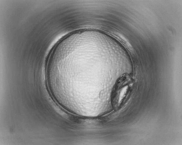 X0000115710796200911251855