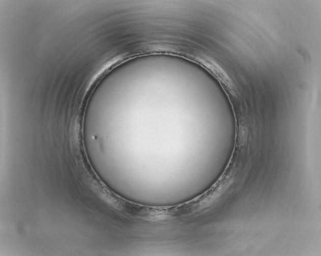 X0000115710798200911251855