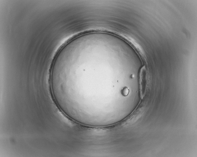 X0000115710799200911251855