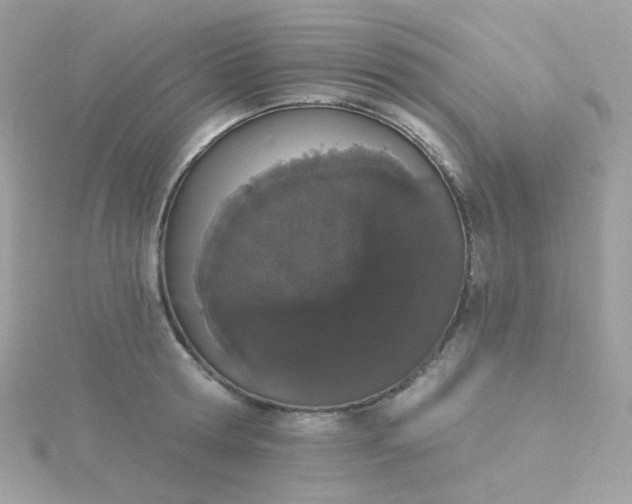 X0000115710802200911251855