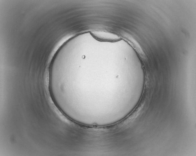 X0000115710804200911251855