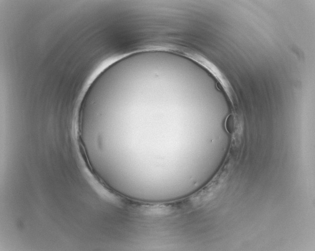 X0000115710811200911251855