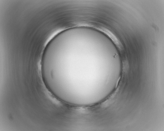 X0000115710814200911251855