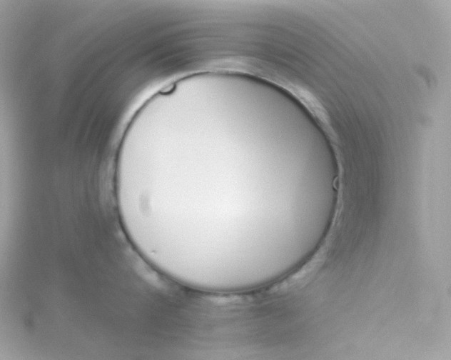 X0000115710816200911251855