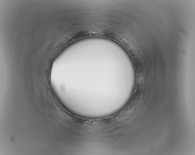 X0000115710817200911251854