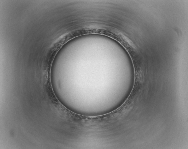 X0000115710821200911251854