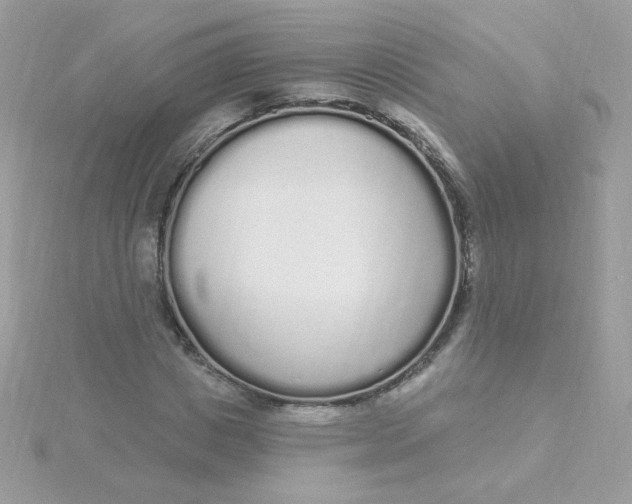 X0000115710825200911251854