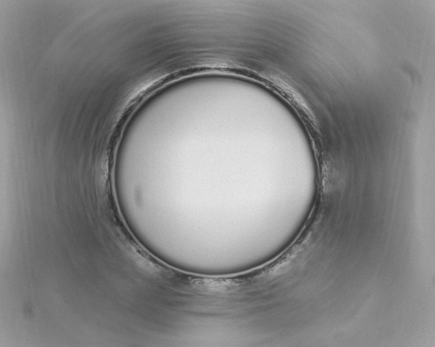 X0000115710831200911251854