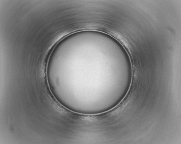 X0000115710835200911251854