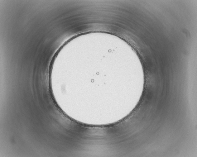 X0000115710836200911251854