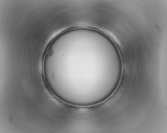 X0000115710839200911251854