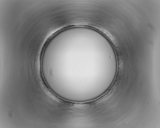 X0000115710840200911251854