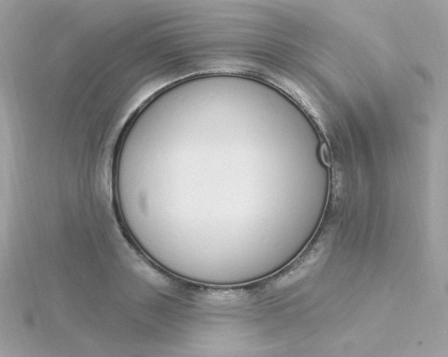 X0000115710843200911251854