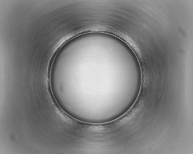 X0000115710845200911251854