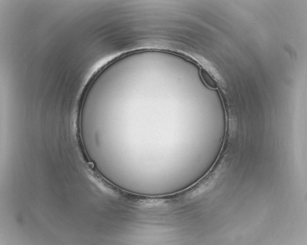 X0000115710846200911251854