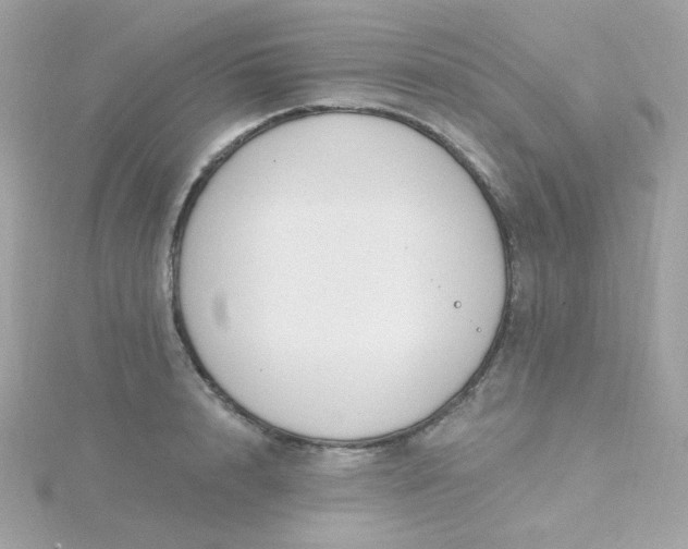 X0000115710848200911251854